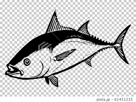 Bluefin tuna illustration (black and white) - Stock Illustration ...