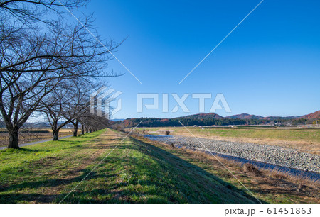 都幾川　ふたせはし付近　武蔵嵐山 61451863