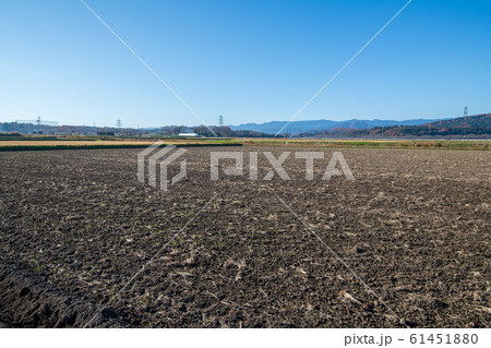 都幾川　ふたせはし付近　田園風景　武蔵嵐山 61451880