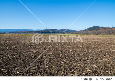 都幾川　ふたせはし付近　田園風景　武蔵嵐山 61451882