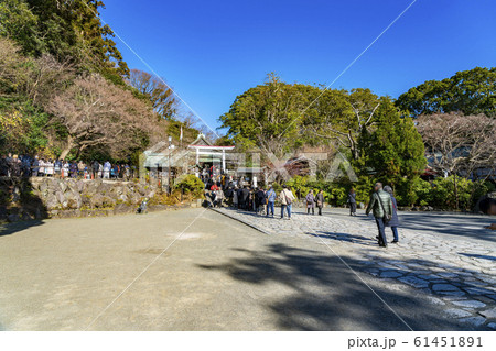 【神奈川県】鎌倉　鎌倉宮　初詣 61451891