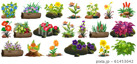 Large set of colorful flowers on rocks and wood 61453042