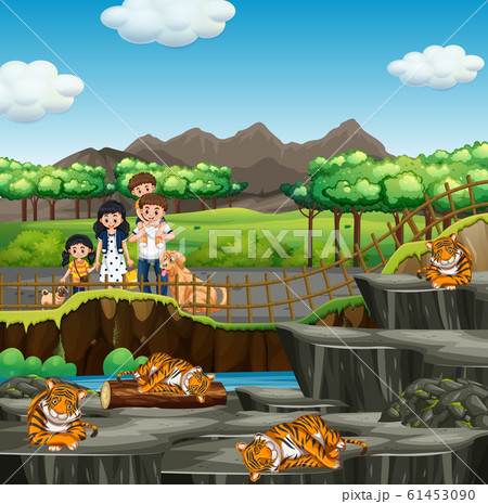 Scene with family and tigers in the zoo 61453090