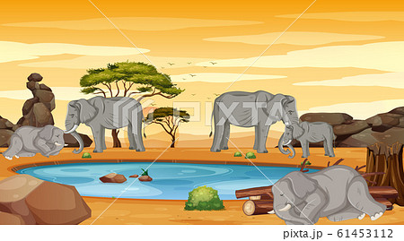 Skinny elephants in the field Skinny elephants in the field 61453112