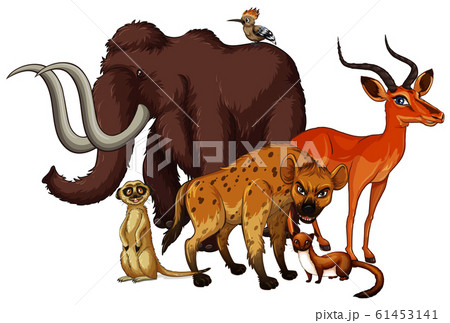 Isolated picture of many animals 61453141