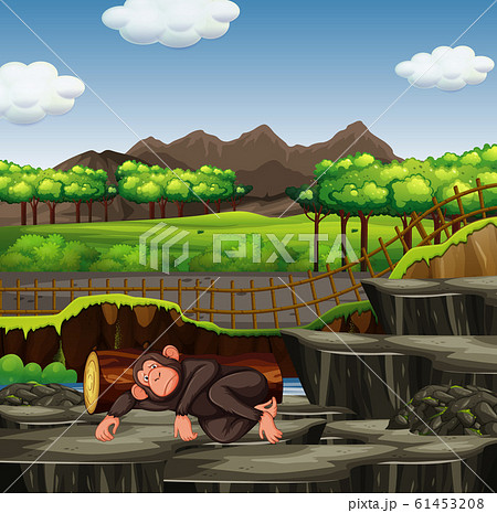 Scene with monkey in the zoo 61453208