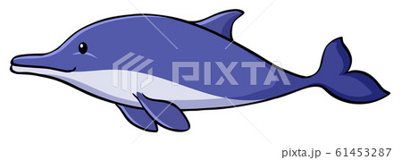 Blue dolphin on white background 61453287