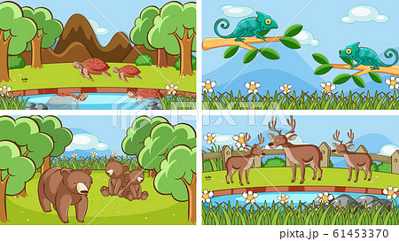 Background scenes of animals in the wild 61453370