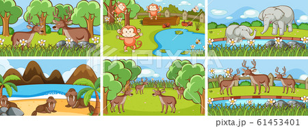 Background scenes of animals in the wild Background scenes of animals in the wild 61453401