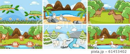 Background scenes of animals in the wild Background scenes of animals in the wild 61453402