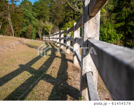 White fence with shadow on grass in the summer 61454579