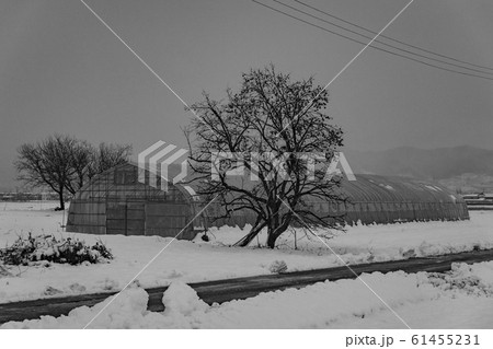 田舎の冬景色 61455231