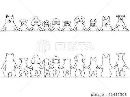 笑顔の小型犬のボーダー　上半身 前後 61455508