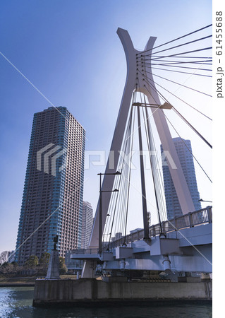 都市風景　隅田川にかかる中央大橋と高層マンション　東京都中央区 61455688