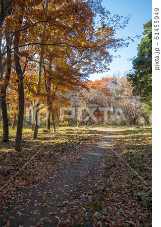 菅谷館跡　三ノ郭付近　 61455949