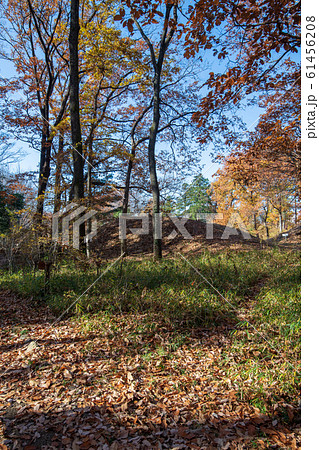 菅谷館跡 三ノ郭付近 蔀土塁 菅谷館跡 三ノ郭付近 蔀土塁 61456208