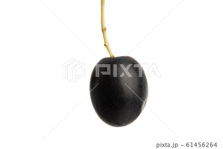 black olives isolated black olives isolated 61456264