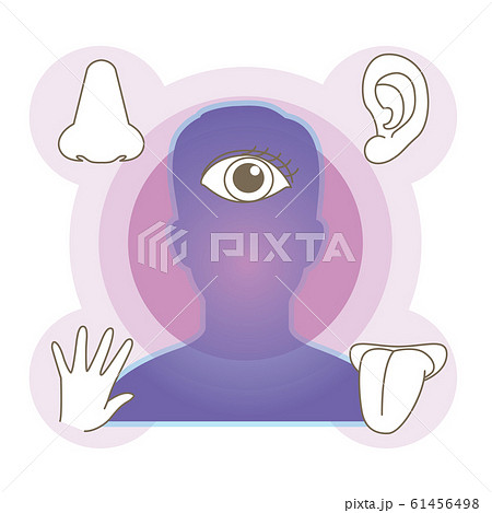 五感イメージ 61456498