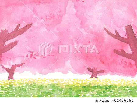 桜の木と菜の花 春の水彩 背景イラストのイラスト素材