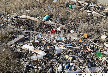 海岸の漂着物 ゴミ問題 環境問題 61459217