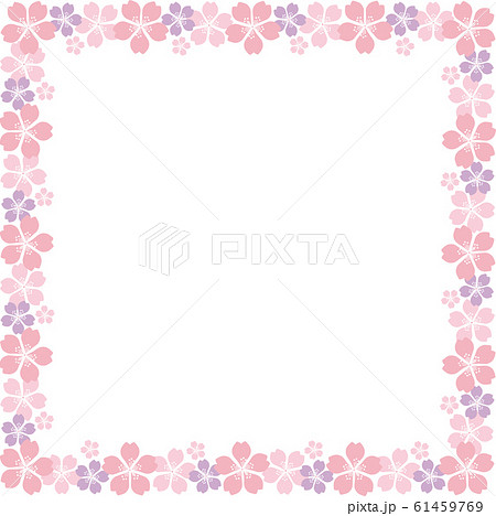 桜 フレーム 正方形c イラストのイラスト素材