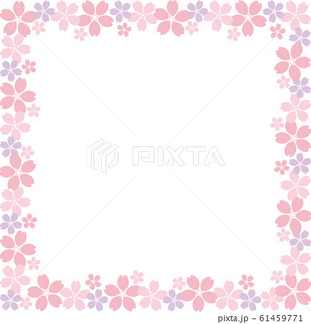 桜 フレーム 正方形a イラストのイラスト素材 61459771 Pixta