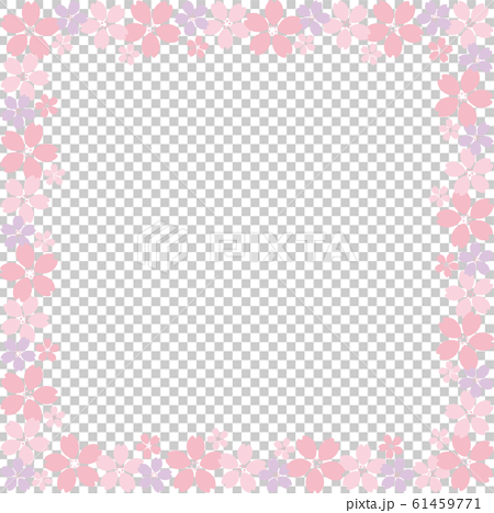 桜 フレーム 正方形a イラストのイラスト素材