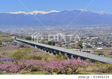 花咲く桃畑とリニア新幹線高架に南アルプス 花咲く桃畑とリニア新幹線高架に南アルプス 61460224