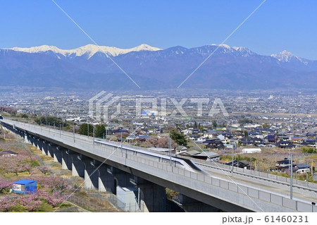 花咲く桃畑とリニア新幹線高架に試験車両と南アルプス 61460231