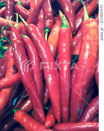 Red chilli, fresh vegetable for your health 61460445