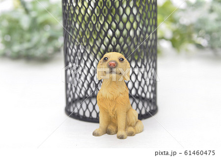 犬 犬 61460475