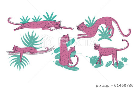 Leopard Standing and Lying on Palm Leaves Vector Set. Stylized Funny African Animal Leopard Standing and Lying on Palm Leaves Vector Set. Stylized Funny African Animal 61460736