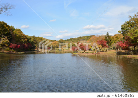 北山公園　2018－11－18　　＃27 61460865