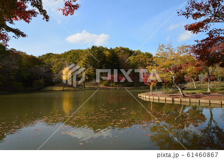 北山公園 2018-11-18 #25 北山公園 2018-11-18 #25 61460867
