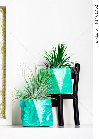 Marbled geometric succulent planters with Marbled geometric succulent planters with 61461302
