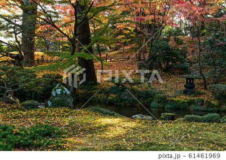 兼六園の紅葉 61461969