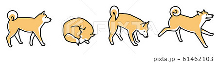線画　柴犬 61462103