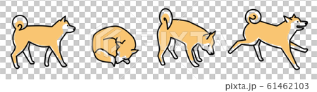 線画　柴犬 61462103