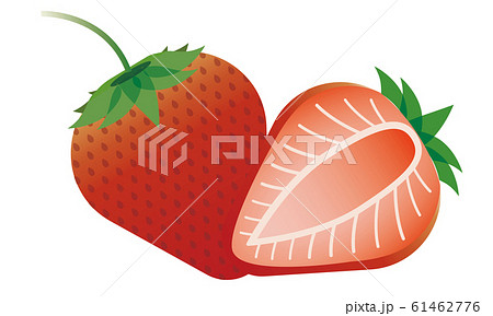 苺 いちご 断面のイラスト素材