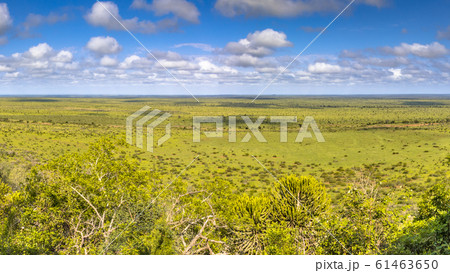 View at Nkumbe viewpoint View at Nkumbe viewpoint 61463650