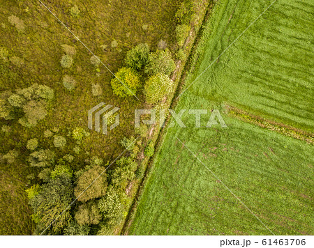 Nature vs agriculture 61463706
