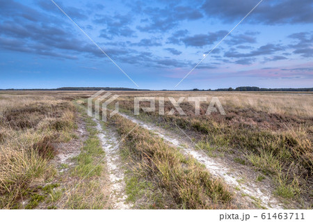 Natural heathland landscape near Hijken Natural heathland landscape near Hijken 61463711