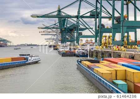 Busy port of Antwerp 61464236