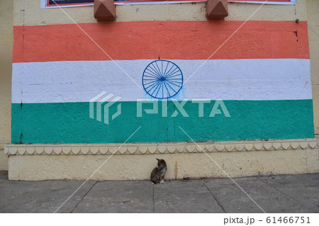 インドのワラーナシー　ガンジス河沿いのガート　壁に描かれた巨大なインド国旗　その下に佇む子犬 61466751