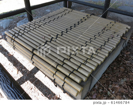 小石川植物園に残る旧養生所の井戸 小石川植物園に残る旧養生所の井戸 61466784