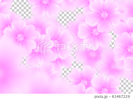 ハート型の桜 アップ ピンク 花びら 満開 背景素材のイラスト素材