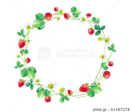 イチゴの丸いフレーム 水彩イラストのイラスト素材 61467278 Pixta