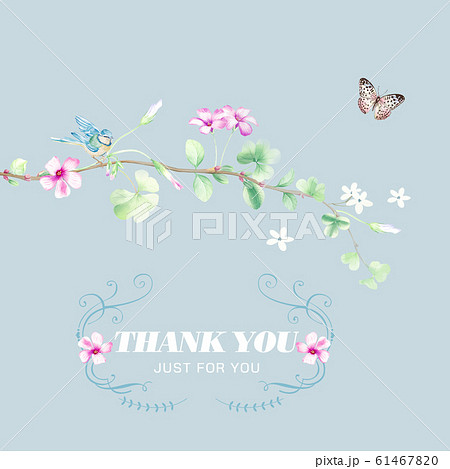 透明水彩 水彩画 花 61467820