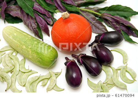 加賀野菜 夏編 加賀野菜 夏編 61470094