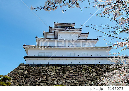 福島県/ 桜満開の鶴ヶ城(会津若松城) 福島県/ 桜満開の鶴ヶ城(会津若松城) 61470734